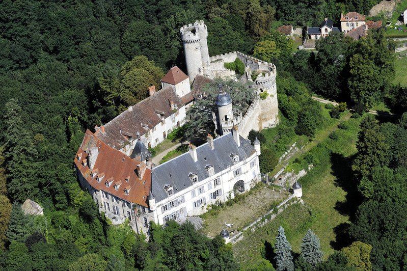 Veauce - Le château