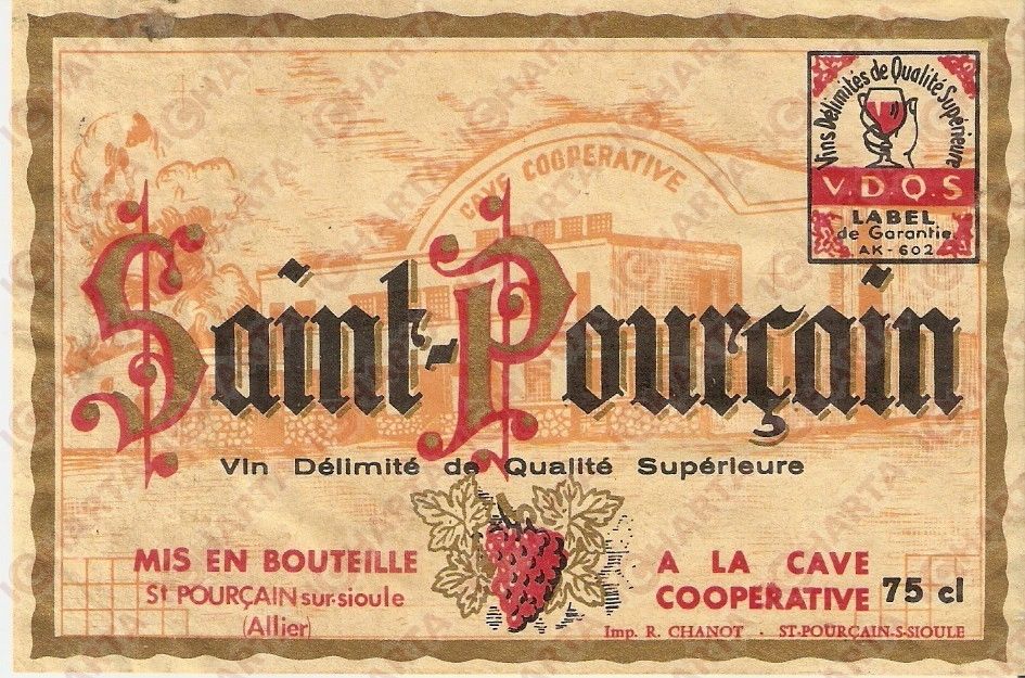 Saint-Pourçain - Le Vin